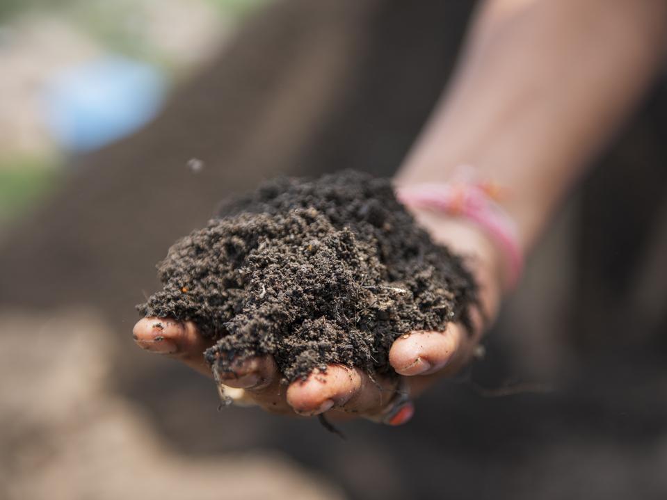 A hand holding soil