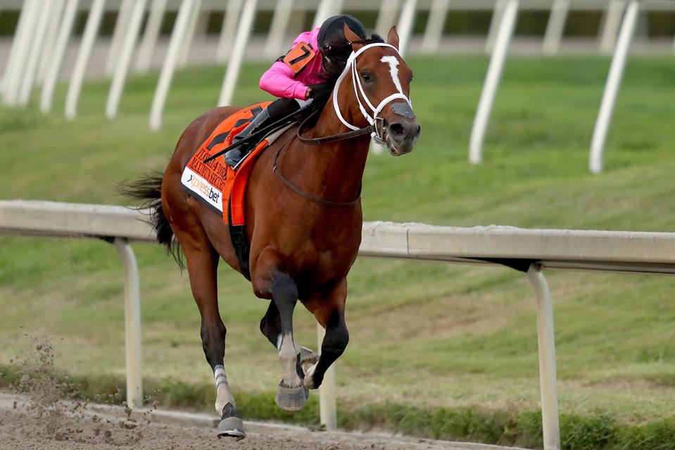 Breeders Cup 2019 Classic Contenders Breeders Cup 2019 Classic Contenders
