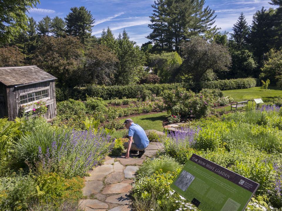 Man at Berkshire Botanical Garden, Stockbridge, Massachusetts