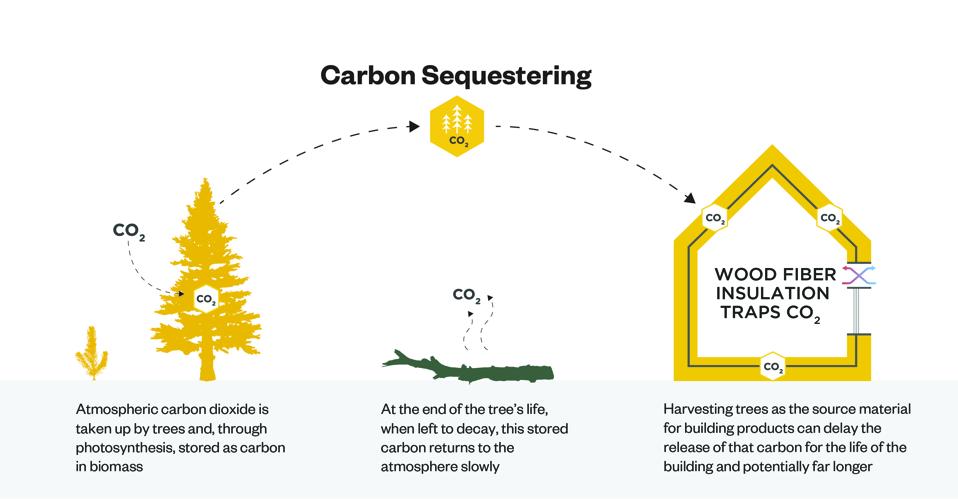 Leveraging wood fiber insulation to address today’s climate concerns by sequestering carbon.