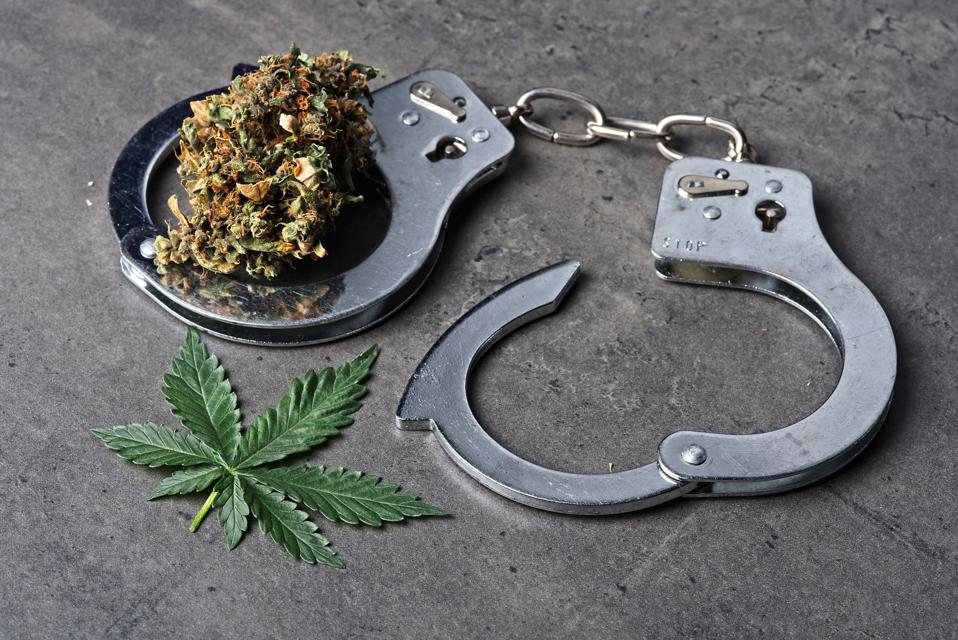 Cannabis bud and leaf with handcuffs