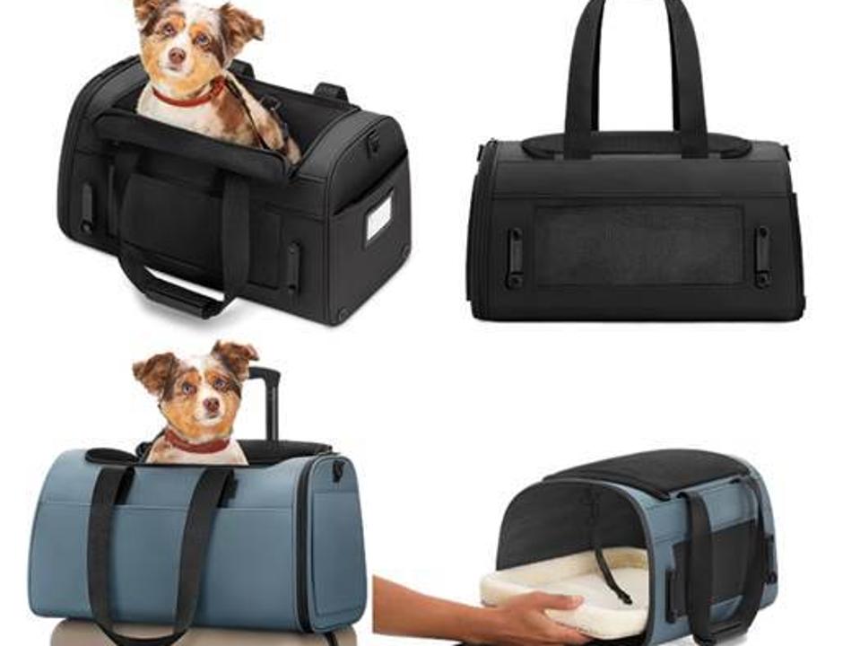 pet carrier