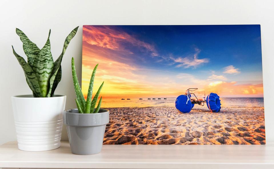 A metal print on a shelf next to plants