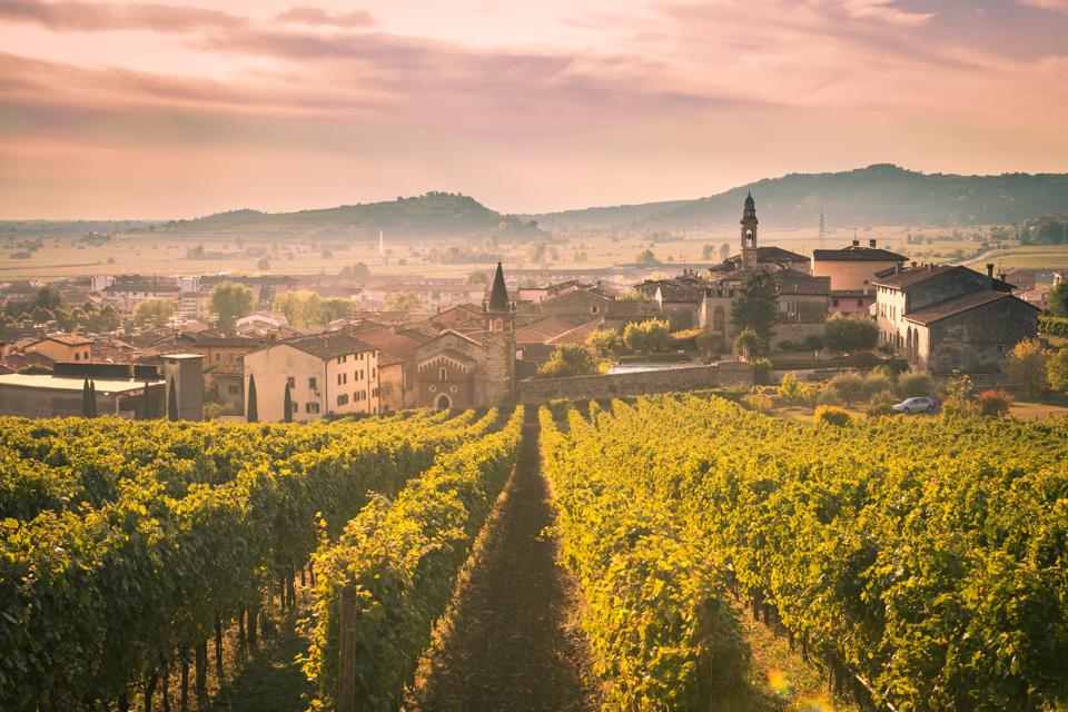 View of Soave (Italy) surrounded by vineyards.
