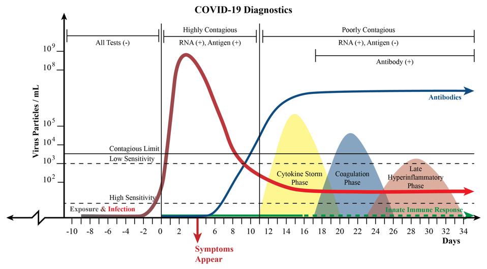 We Finally Have Rapid At Home Covid 19 Tests What Happens Now We Finally Have Rapid At Home Covid 19 Tests What Happens Now