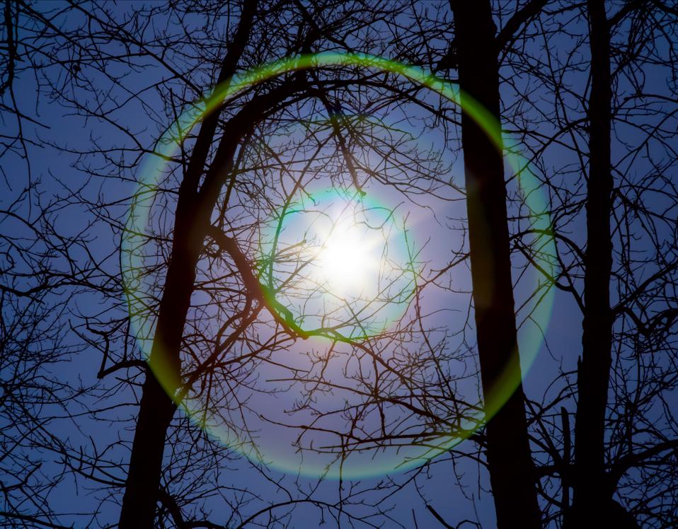 Tree rings may hold clues to earthly impacts of distant supernovae.