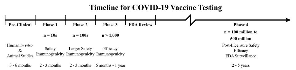 A timeline of safety evaluation for vaccines, adjusted to reflect the current pace of clinical trials and the necessary duration of post-licensure surveillance.