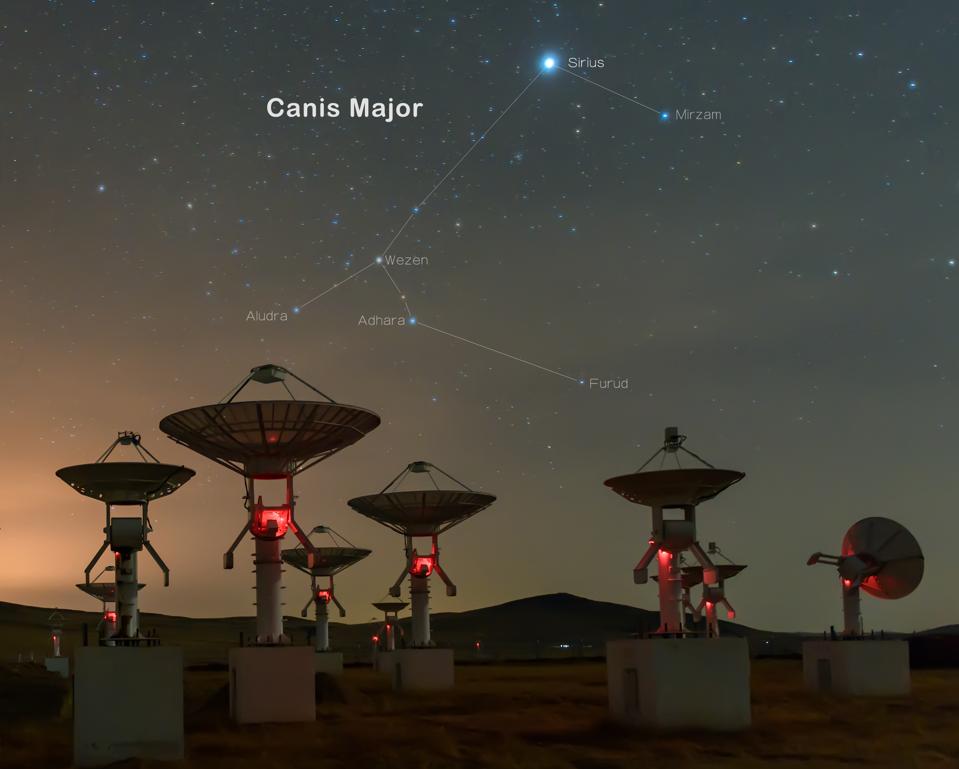 Satellite antenna array under the constellation of Canis Major, of which Sirius is the brightest star.