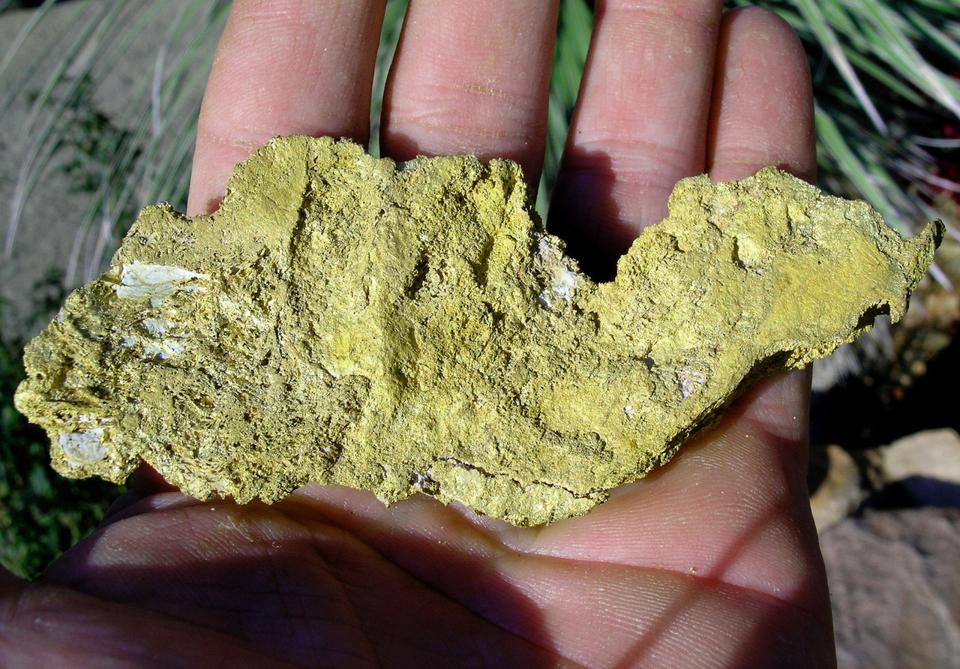 ″Nessie,″ a hand-sized gold nugget