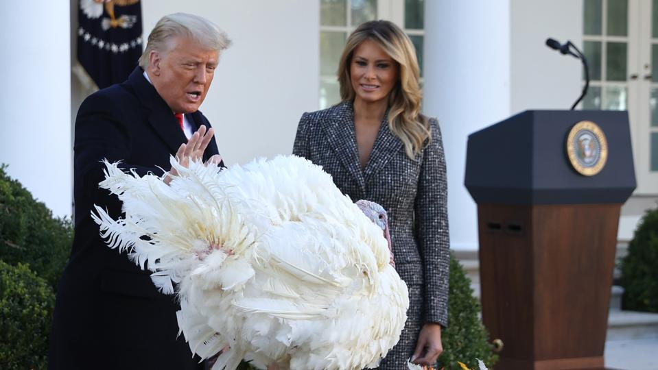 President Trump Pardons National Thanksgiving Turkey At The White House