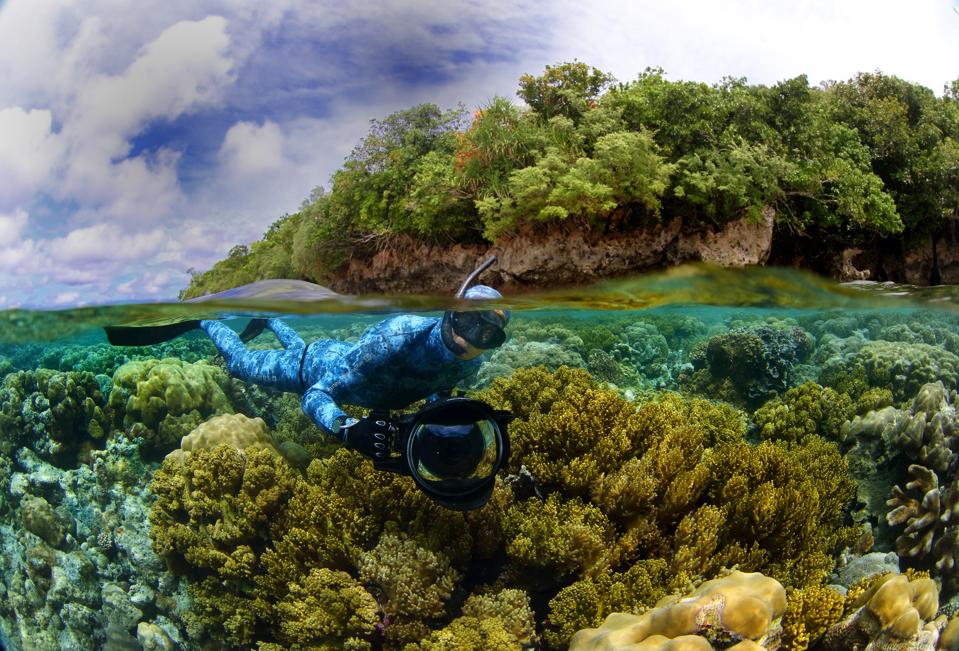Exploring the reefs at Palau in the Western Pacific for Pristine Seas