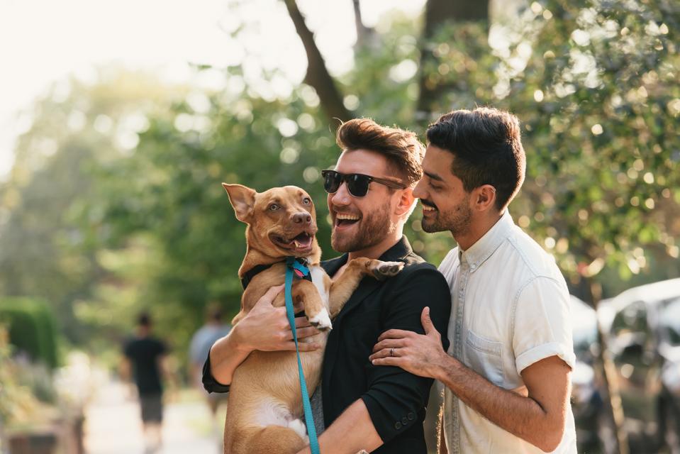Young male couple carrying dog on suburban sidewalk