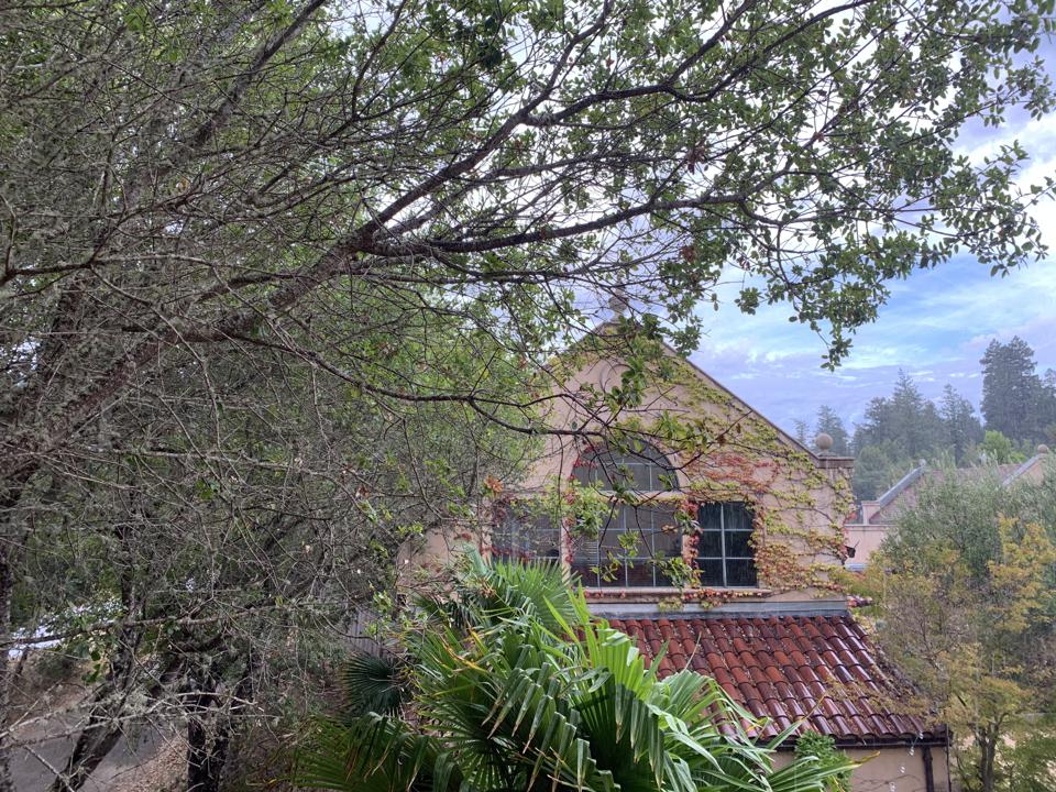 Anderson Valley The Mendocino Coast Are The New California Dream