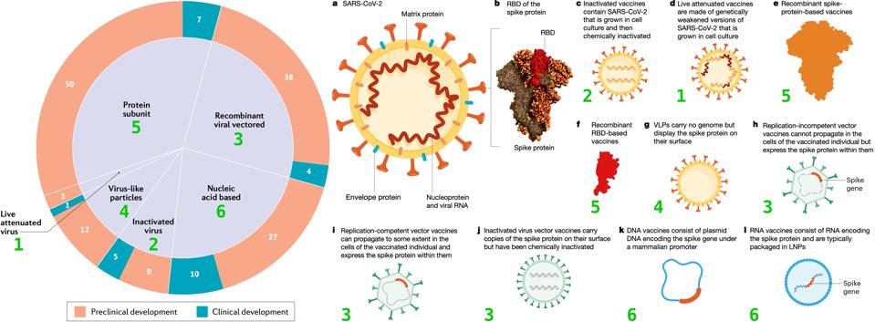 What S The Difference Between Covid 19 Coronavirus Vaccines