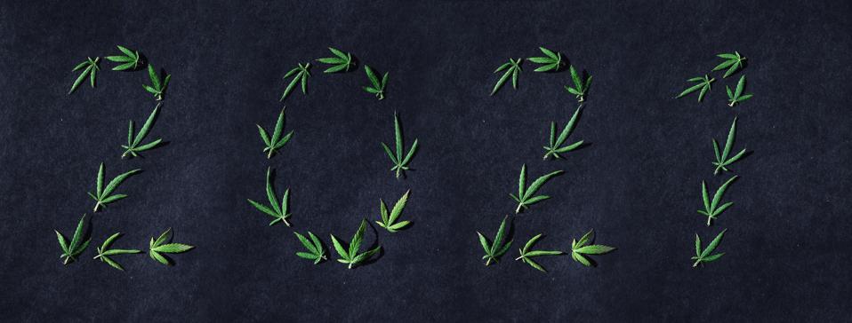 Pattern of cannabis leaves in the form of numbers 2021 on a dark background. The concept of a new year. Cannabis plant background. Copy space. The concept of marijuana love