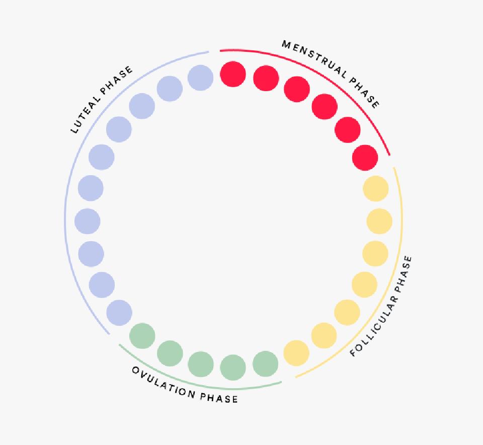 Hormonal phases that the Bellabeat Leaf tracks