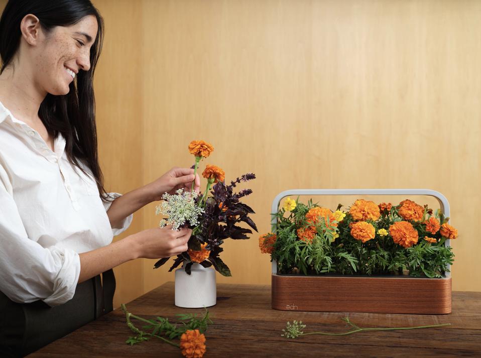 A small wooden planter with marigold flowers.