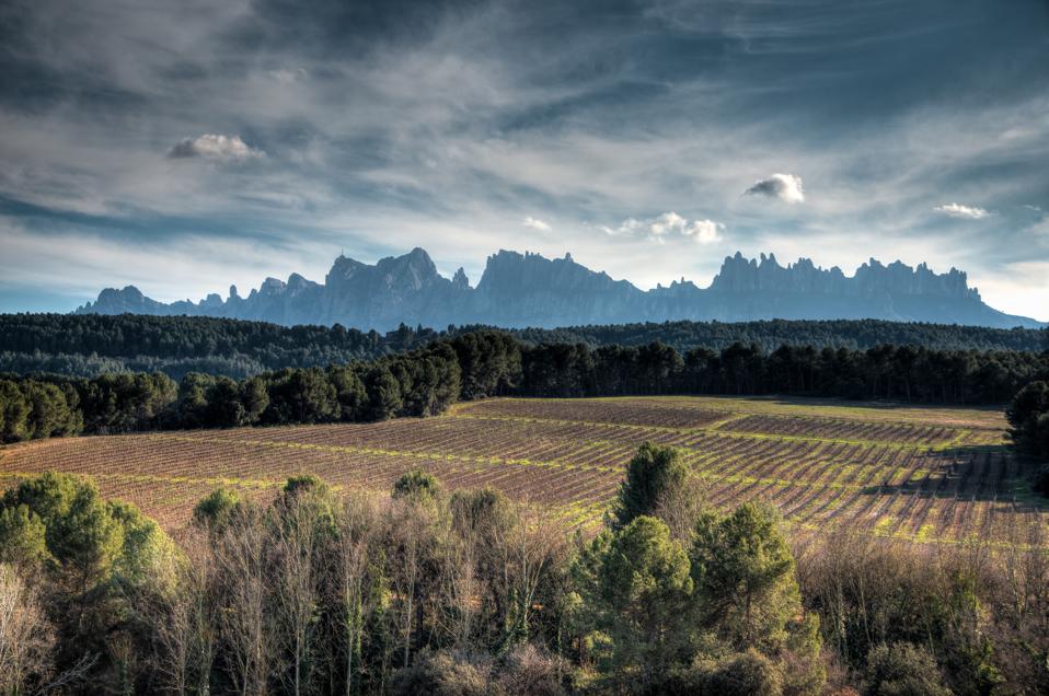 Scenic view of field against sky, Municipality Manresa, Barcelona, Spain