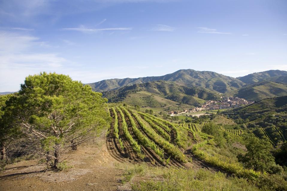 Wine region of Priorat with the town of Porrera in distance, Costa Dorada, Spain