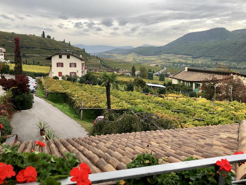 A view of vineyards, hills, and mountains in Alto Adige in Italy