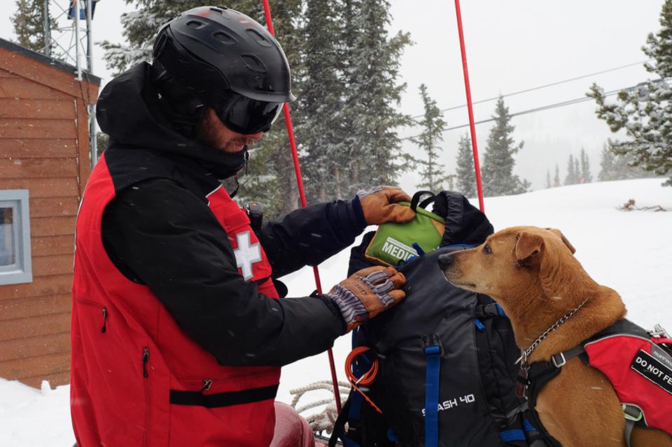 Adventure Medial Kit Trail Dog Kit
