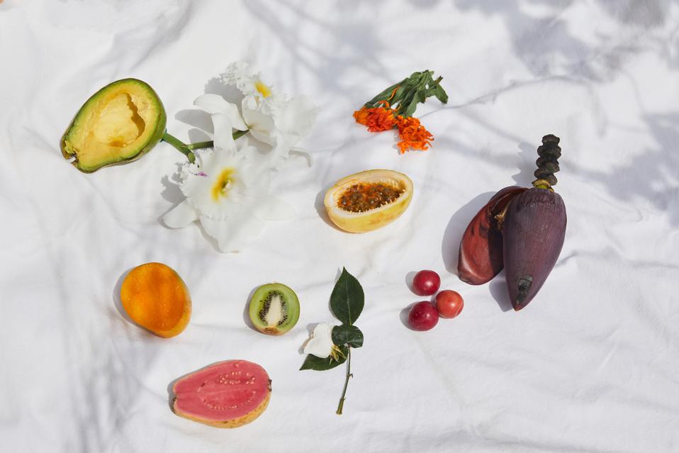 Joaquina Botanica and Andrea Swarz