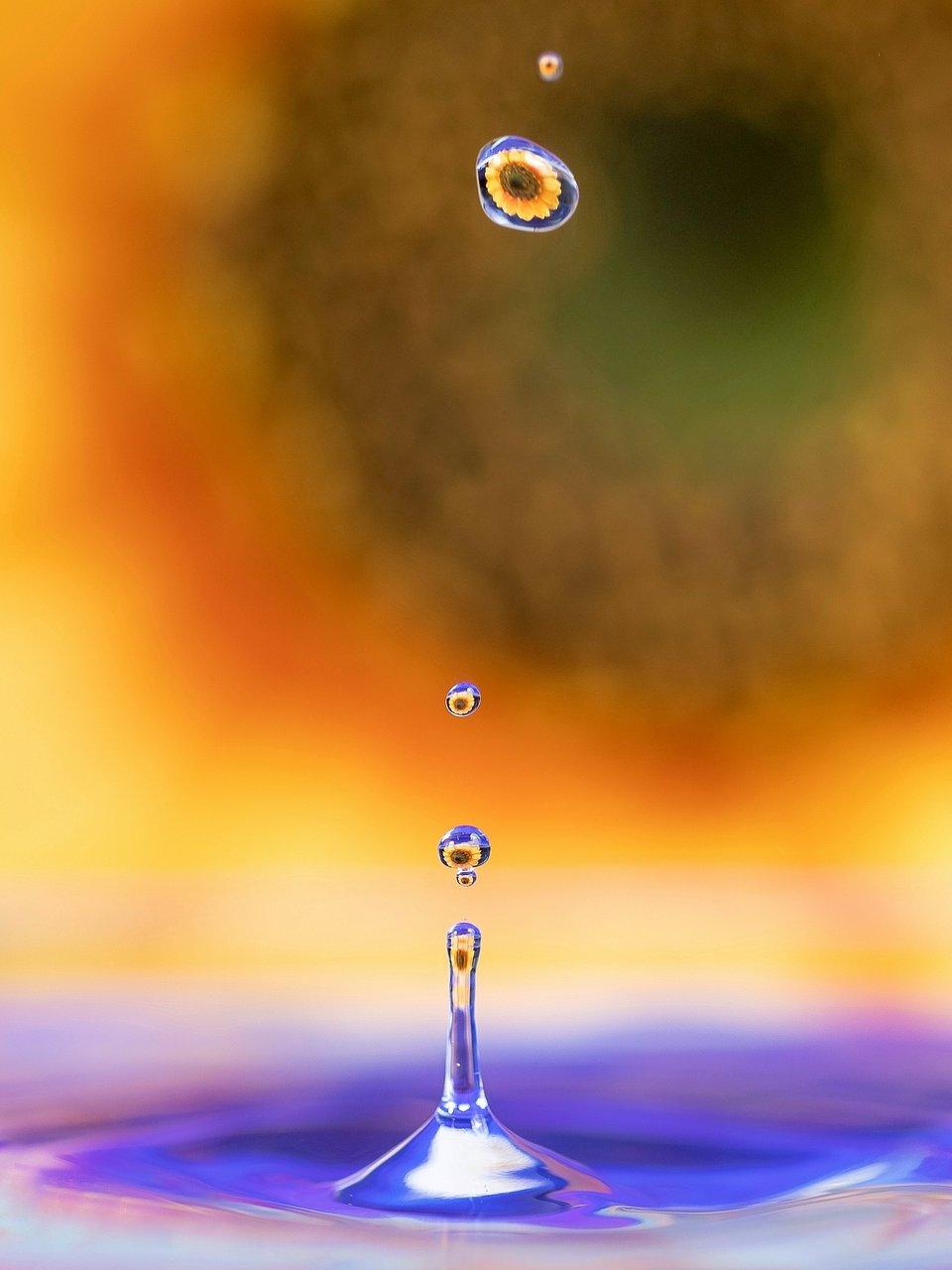 A drop of water reflecting a yellow daisy.