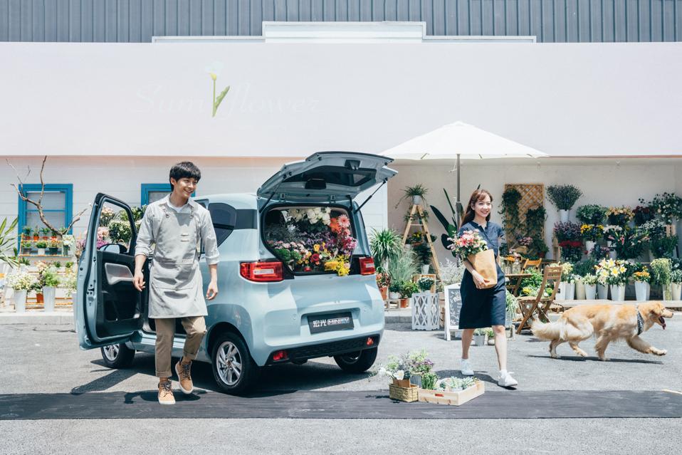 Hong Guang Mini EV