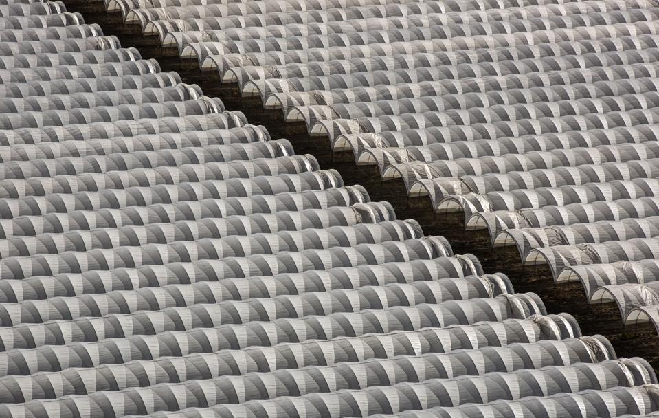 Marijuana operation of hoop houses covers acres of farmland in Santa Barbara County.