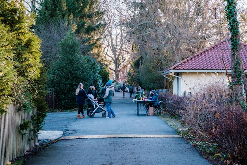 The Backroad in Maplewood, New Jersey