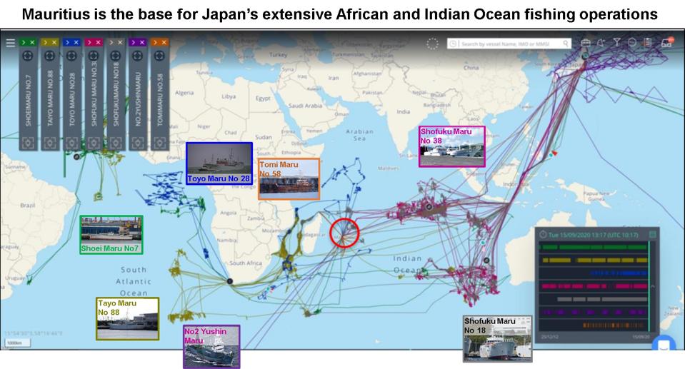 Satellite analysis reveals the extent to which Japan's fishing fleet has been using Mauritius as a base for their regional operations for the past three years