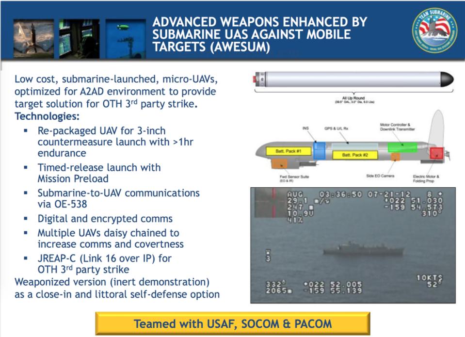 Submarine launched drone