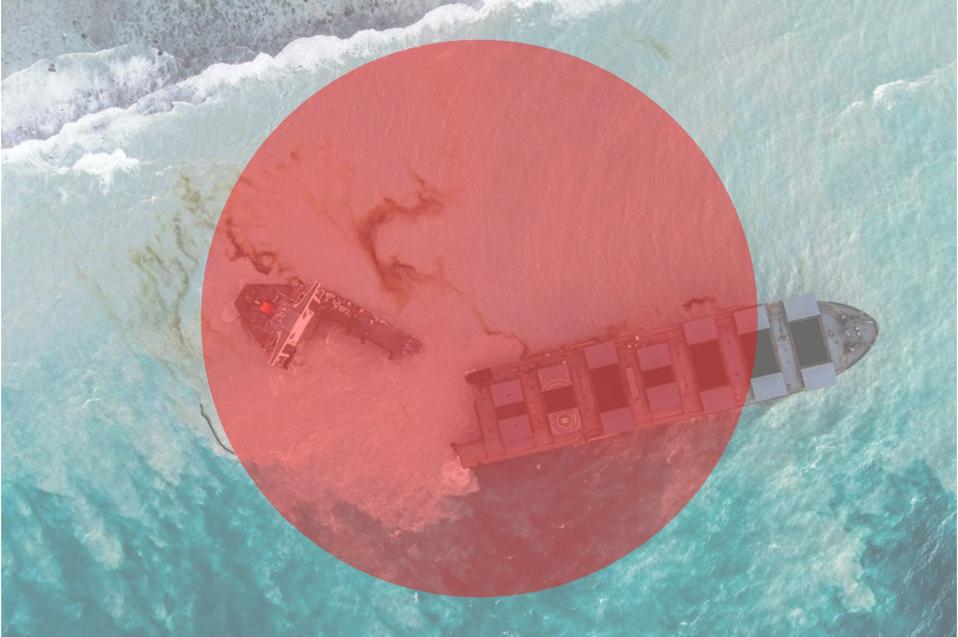 The Wakashio ran aground on the Indian Ocean island of Mauritius in July, triggering an oil spill and ecological catastrophe that has become a largely Japanese affair