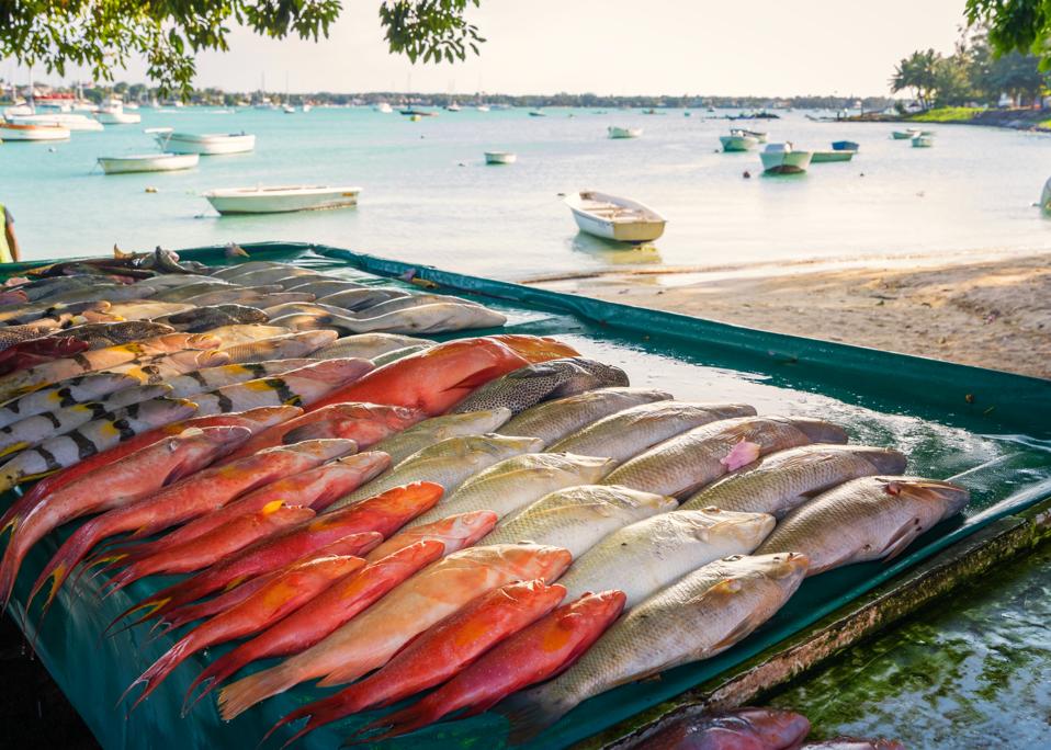 Street markets selling fresh fish were very popular in Mahebourg, where people from around the country would come down every day to purchase fresh fish, creating employment for a range of informal support industries
