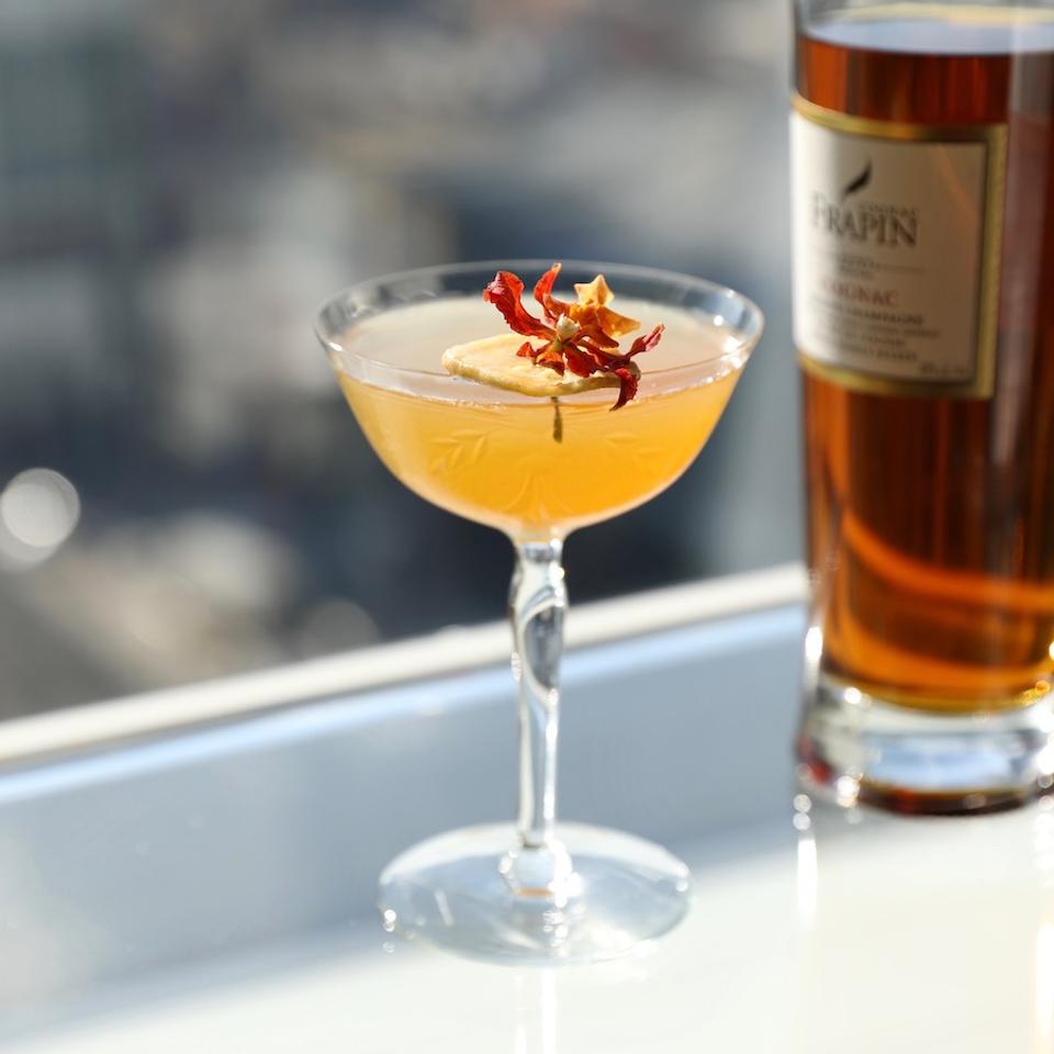 Easy Cocktail Recipes Cognac
