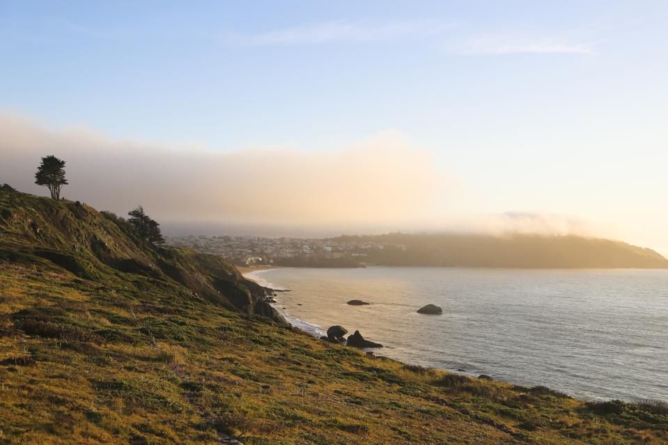View of San Francisco bay from Presidio Park