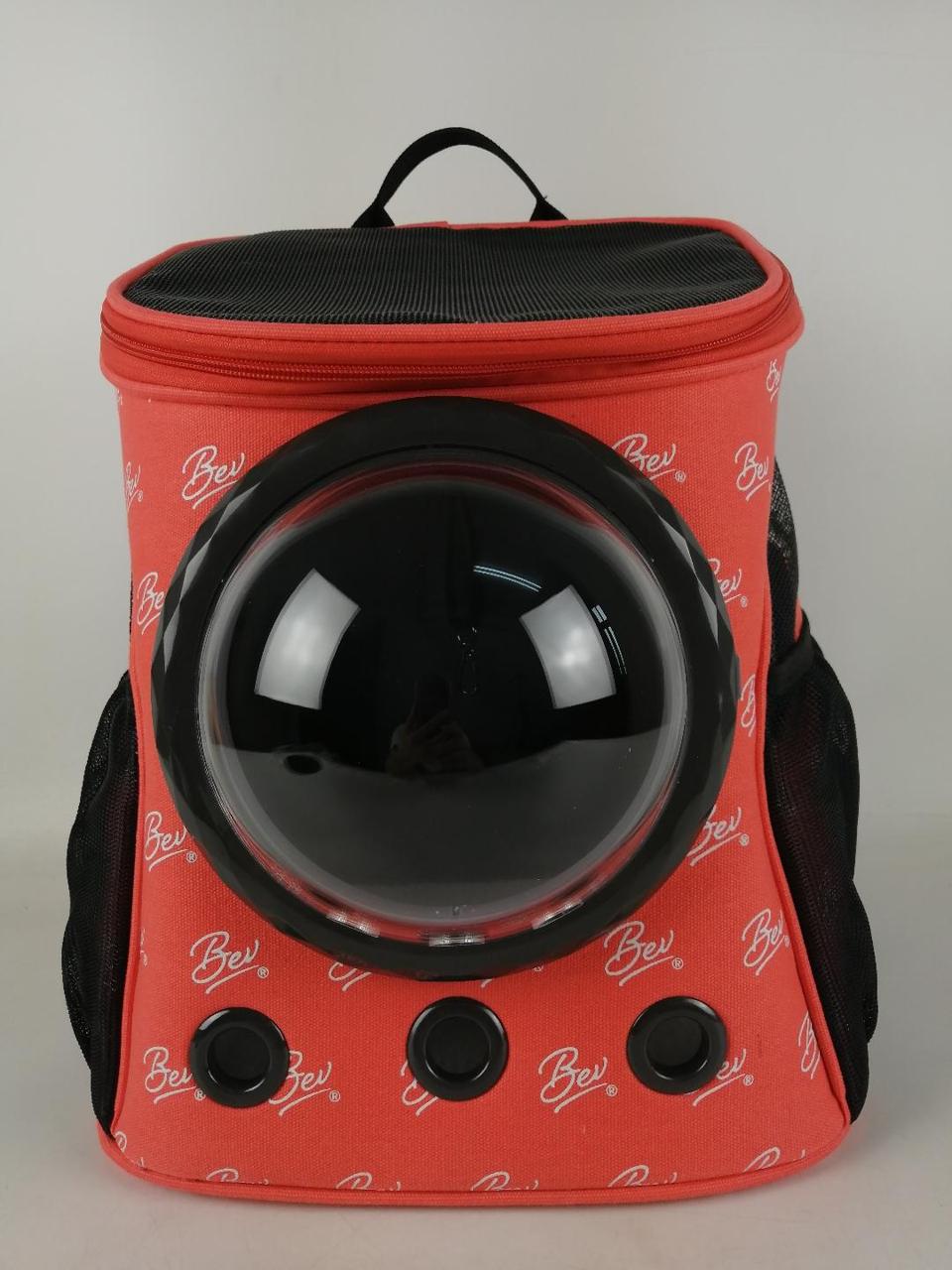 Cat backpacks are the coolest accessory.