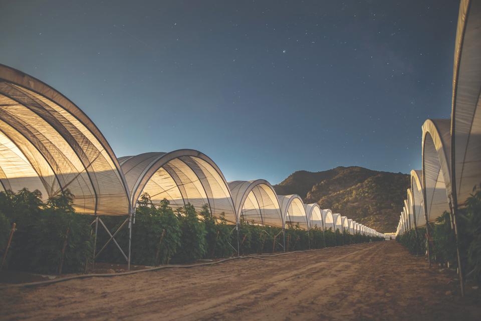 The expansive 85-acre grow of Raw Garden in Santa Barbara, California, at night.