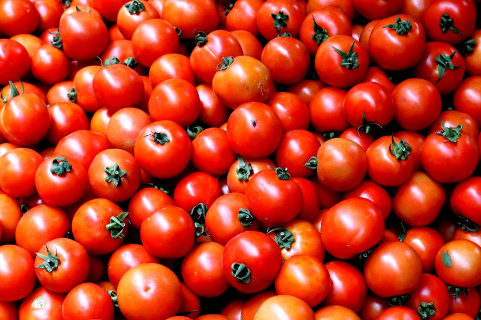 Tomatoes