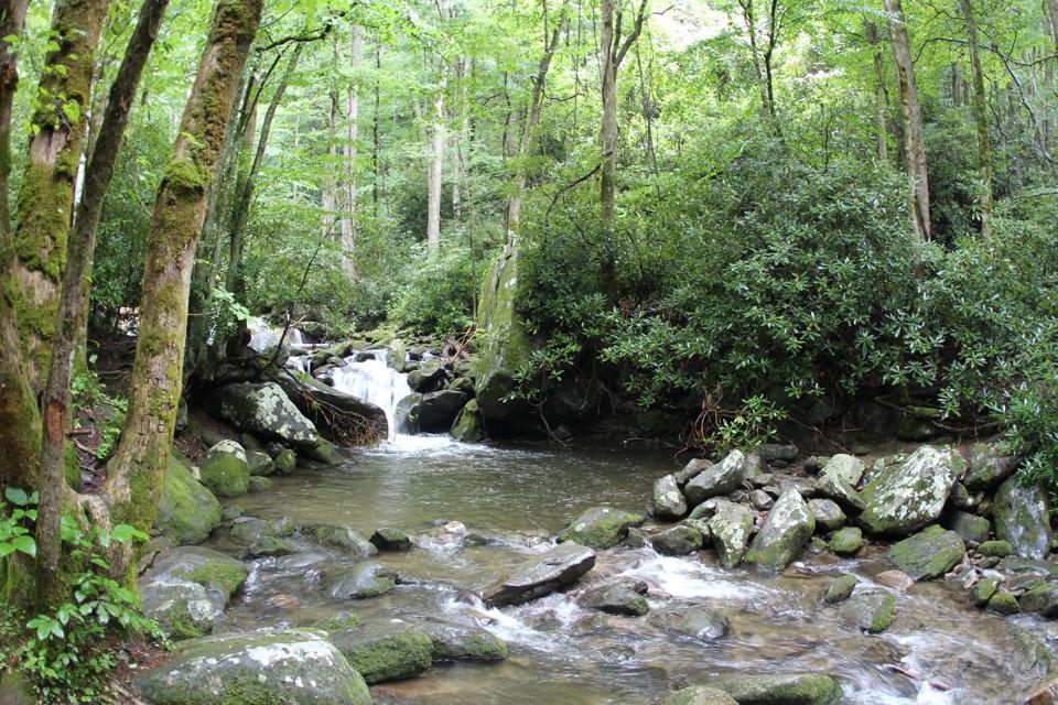 Great Smoky Mountains National Park