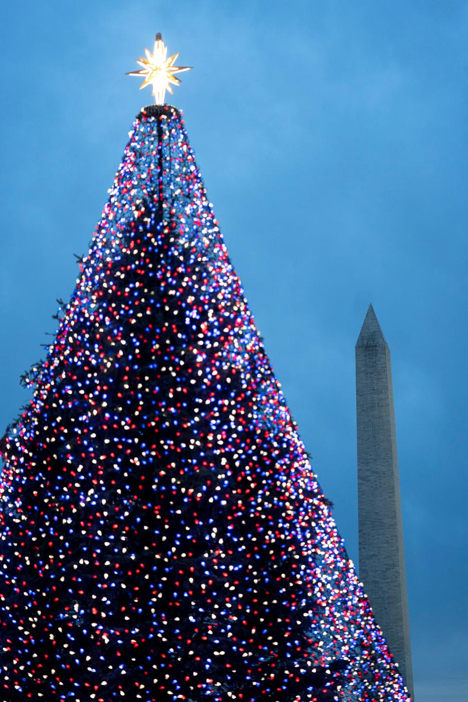 米国・ワシントンDC・ナショナル・クリスマスツリー