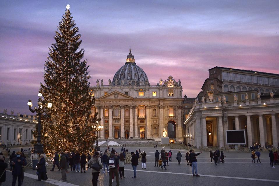 Weihnachtsbaum auf dem Petersplatz im Vatikan.