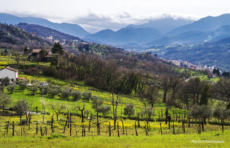 Landscape at Paternopoli in the Taurasi zone, Campania