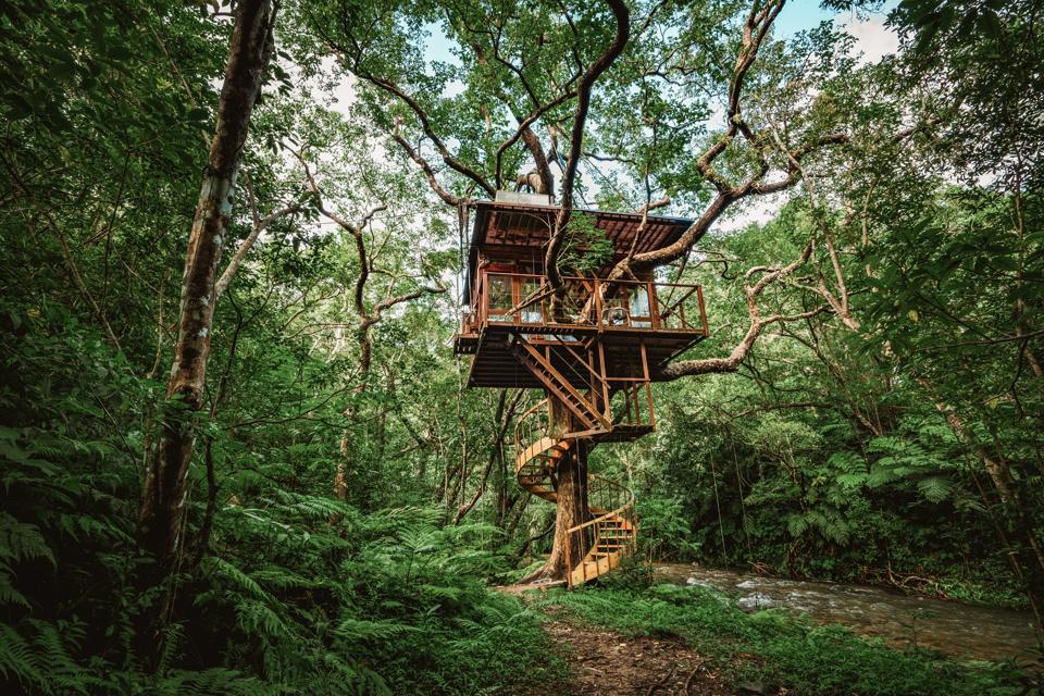 The rooms at Treeful Treehouse EcoResort in Japan are actually perched in the trees