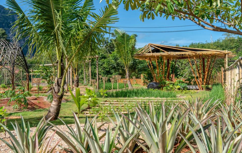The farm at the Pavilions Anana Krabi hotel in Thailand has a bamboo structure over fields