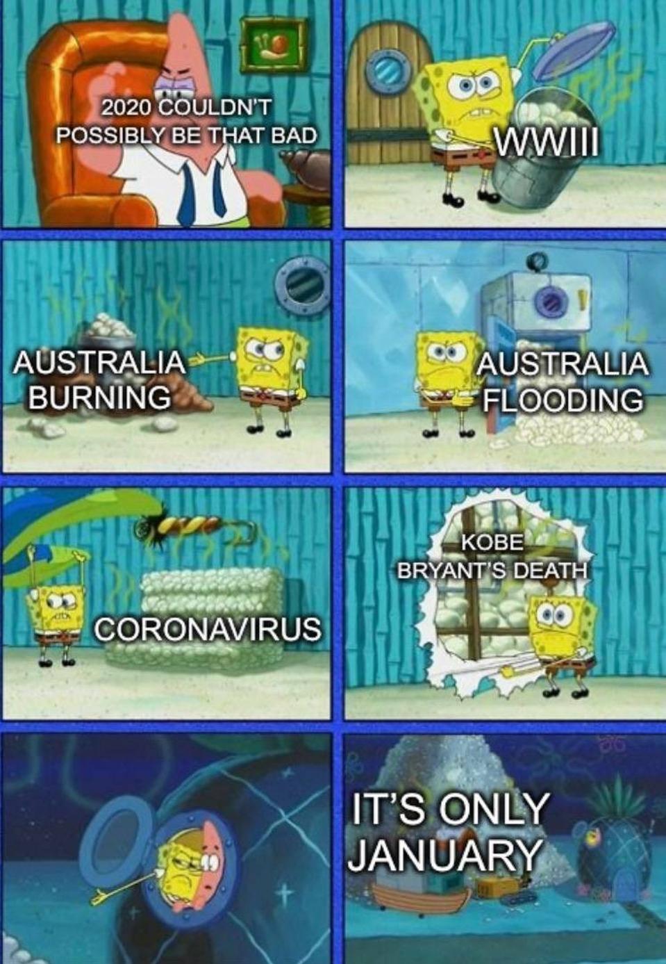 2020: A Meme Essay