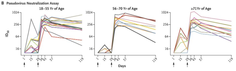 Charts describing the duration of neutralizing antibodies from the Moderna vaccine.