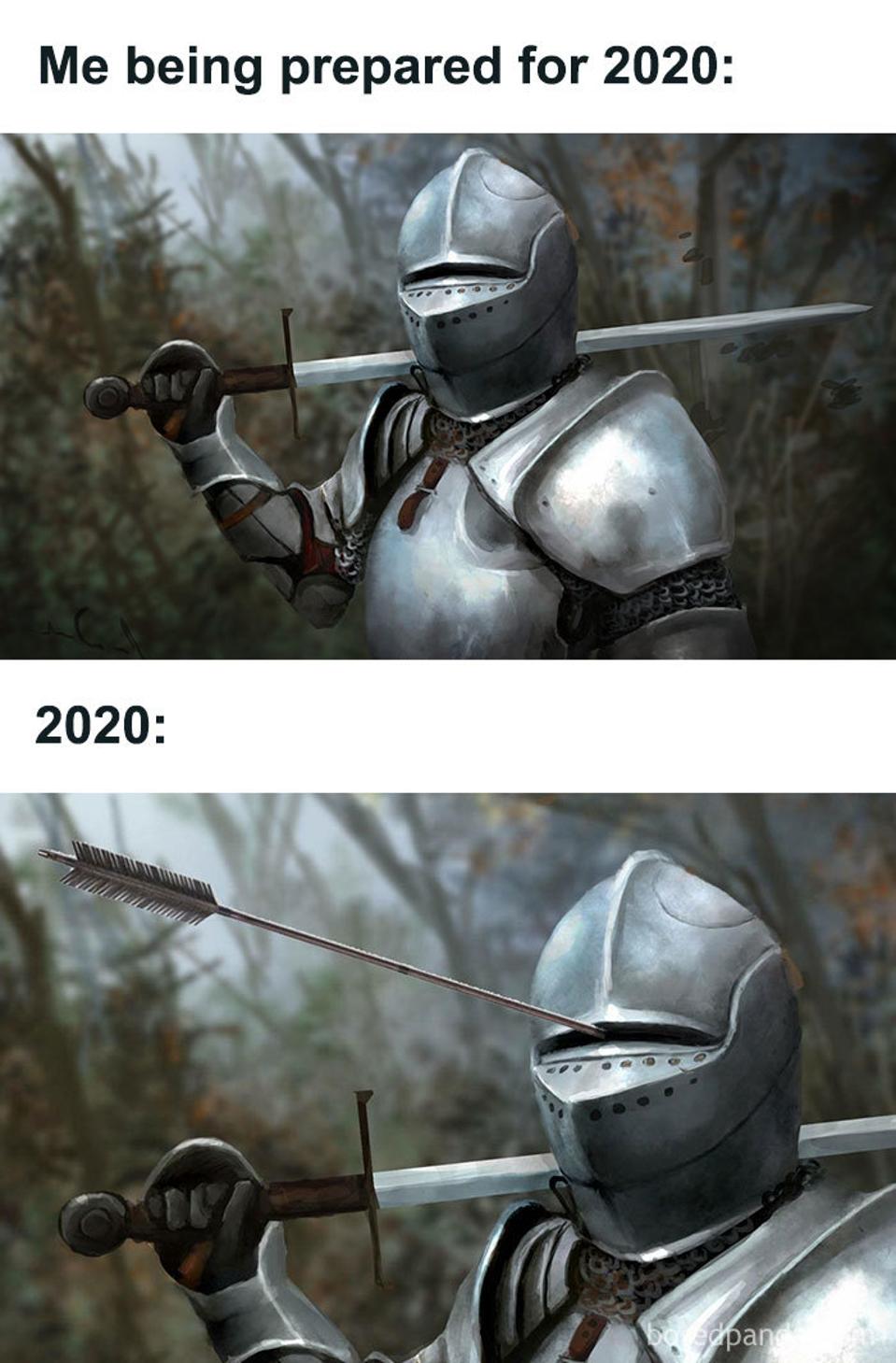 2020: A Meme Essay