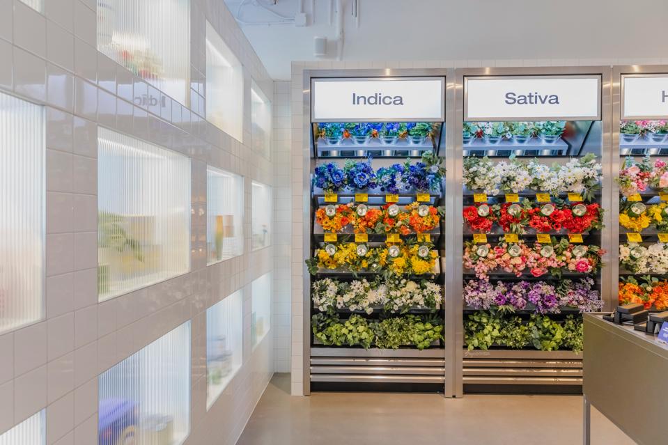 A flower display wall that gives consumers a air-waft of the cannabis terpenes for each strain, as seen at the Summerhill Superette location.