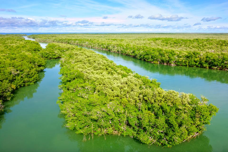 Tackle-climate-change Tackle-climate-change